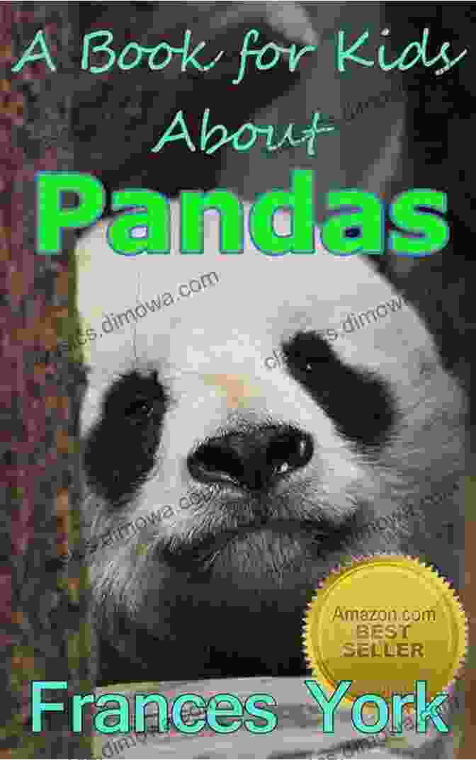 A Child Engrossed In Reading A Book About Panda Bears Pandas Let S Meet Mrs Huggs: Panda Bears For Kids (Children S Bear Books)