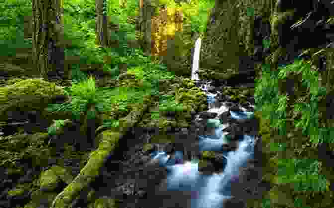 A Clear River In Costa Rica Surrounded By Lush Vegetation And A Dramatic Sky Costa Rica: Pure Life A Photographic Journey