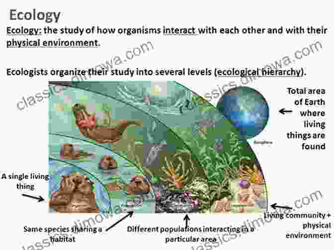 A Depiction Of Insects Interacting Within An Ecosystem, Highlighting Their Ecological Significance An Elementary Study Of Insects