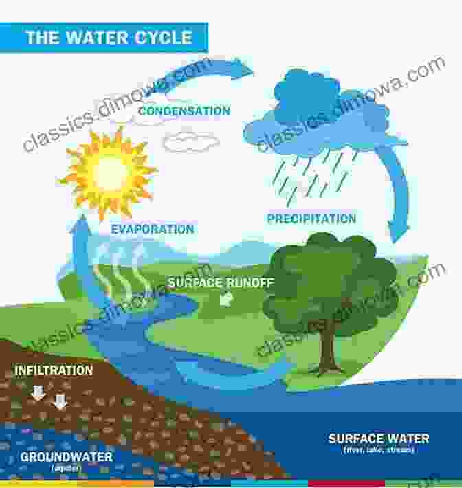 A Diagram Of The Water Cycle Mother Earth S Beauty: Types Of Water Formations Around Us (For Early Learners): Nature For Kids Earth Sciences (Children S Water Books)