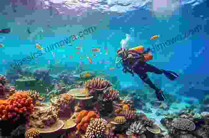 A Diver Explores A Colorful Underwater Canyon In Ponta Mamoli. Diving Ponta: A Dive And Photo Guide Of Ponta Do Ouro Ponta Malongane And Ponta Mamoli Mozambique