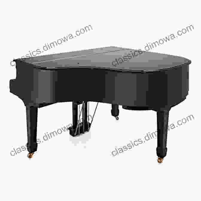 A Grand Piano With Gleaming Black Keys And A Polished Wooden Body My First Of Musical Instruments: Saxophones Ukuleles Clarinets Bongos And More Baby Toddler Color