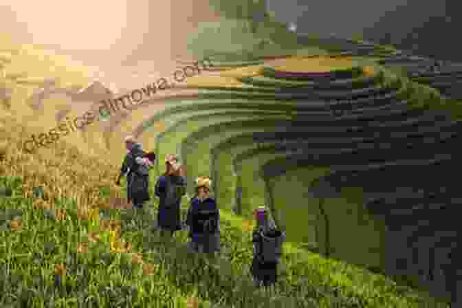 A Group Of People Hiking Through A Rice Paddy In Vietnam Hack The Best Out Of Your Vietnam Trip: Avoid Any Trip Frauds In Vietnam (how To Hotels Rent A House Haggle Like A Pro In Vietnam)