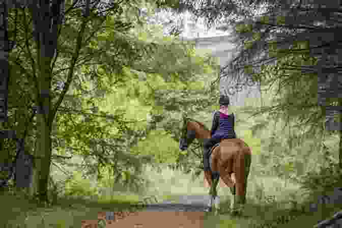 A Group Of Riders Enjoying A Sunset Trail Ride Through A Picturesque Forest Come Ride With Me: Horse Poetry For Learning And Enjoyment