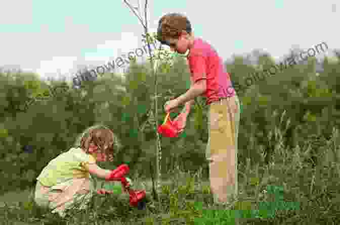 A Hopeful Image Of A Child Planting A Tree The Living Shore: Rediscovering A Lost World