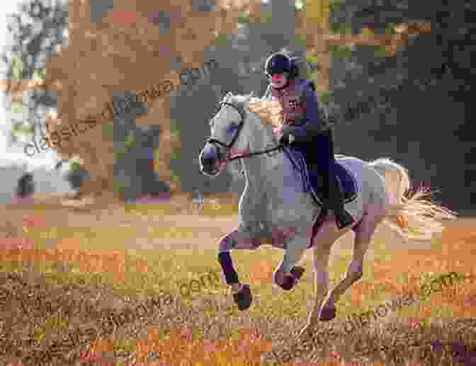 A Majestic Horse And Its Skilled Rider Galloping Gracefully Through A Field Way To Perfect Horsemanship: How To Plan Build And Remodel Barns And Sheds