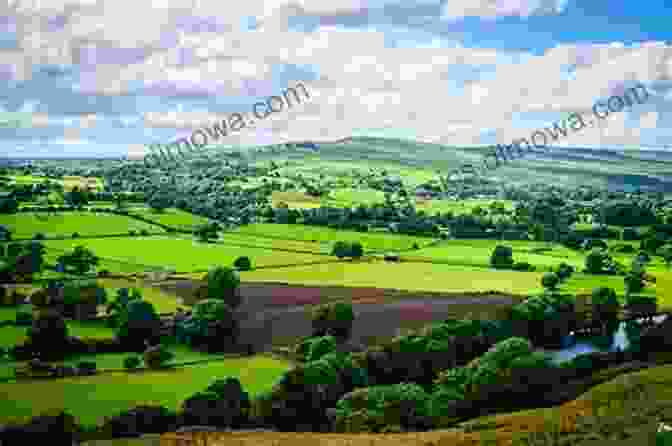 A Meandering River Flowing Through A Lush Meadow Mother Earth S Beauty: Types Of Water Formations Around Us (For Early Learners): Nature For Kids Earth Sciences (Children S Water Books)