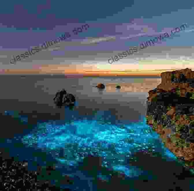 A Mesmerizing Photograph Of Bioluminescent Plankton Creating A Surreal Display Along A Coastline. Secret Indianapolis: A Guide To The Weird Wonderful And Obscure