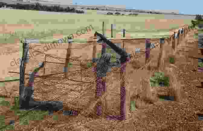 A Photo Of The Author Sitting On A Fence In The Outback RAMBLERS IN CORNWALL: Slow Travels Through A Salt Licked Country