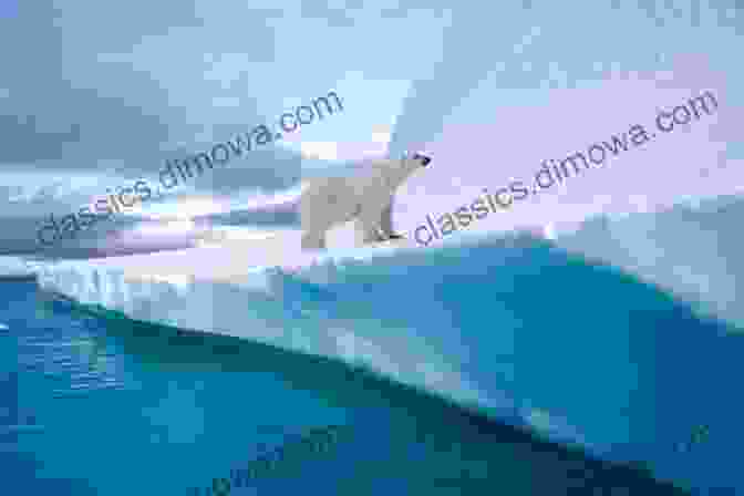 A Polar Bear Tripping And Falling On Land 15 Funny Facts About Polar Bears