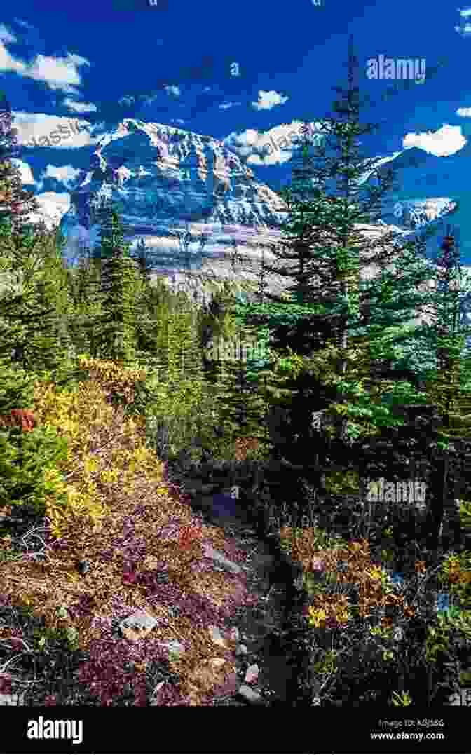 A Pristine Mountain Landscape, Highlighting The Importance Of Conservation Efforts Impact Of Global Changes On Mountains: Responses And Adaptation