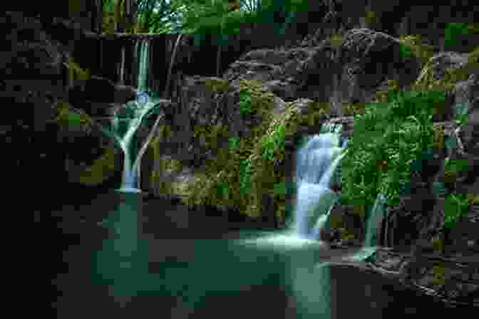 A Secluded Waterfall Hidden Within An Urban Canyon In Los Angeles Not For Tourists Guide To Los Angeles 2024