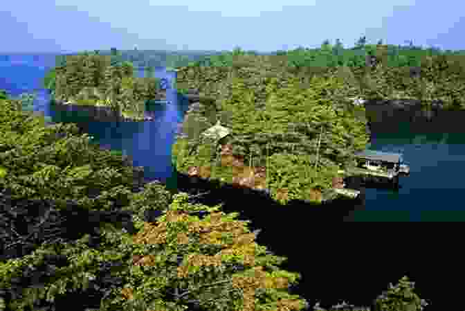 A Serene View Of The Thousand Islands, With Lush Green Islands And Shimmering Waters. Sampler 11 Ontario In Colour Photos: Saving Our History One Photo At A Time (Sampler Cruising)