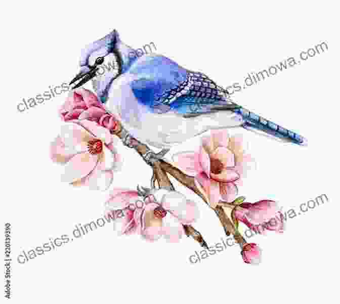 A Vibrant Illustration Of A Blue Jay Perched On A Branch Birds In Words And Images: Original Bird Poems And Bird Illustrations In Praise Of The Beauty And Mystery Of Birds