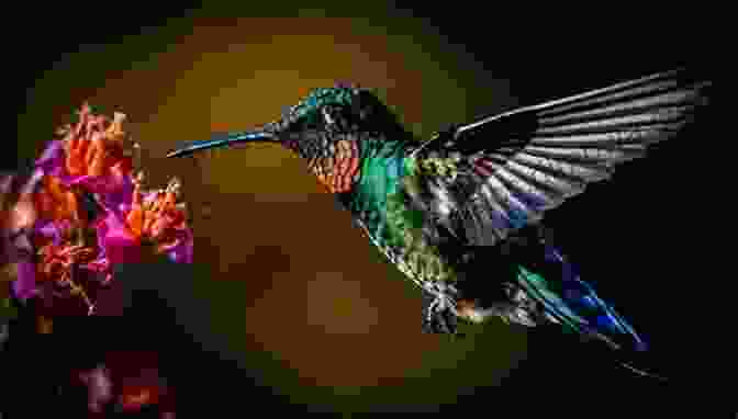 A Vibrant Jamaican Hummingbird Hovers In Mid Air, Its Iridescent Wings Shimmering Jamaican Animals Michael Harris