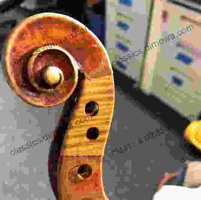 A Violin With Its Elegant Curves, Varnished Wood, And Intricate Scroll My First Of Musical Instruments: Saxophones Ukuleles Clarinets Bongos And More Baby Toddler Color