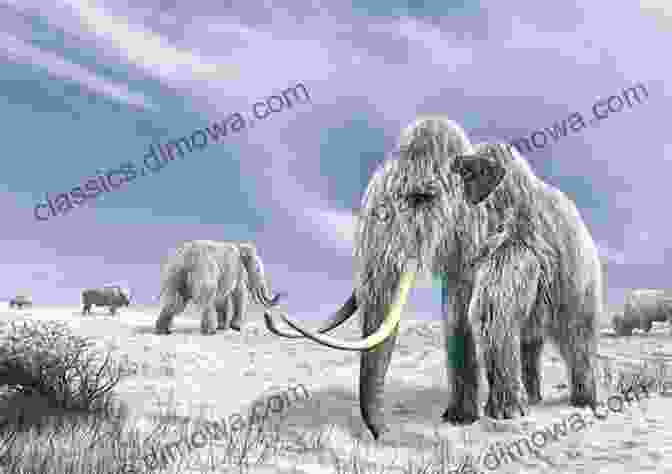 A Woolly Mammoth Where Are They Now? Extinct Animals That Once Walked The Earth Scientific Explorer Third Grade Children S Zoology