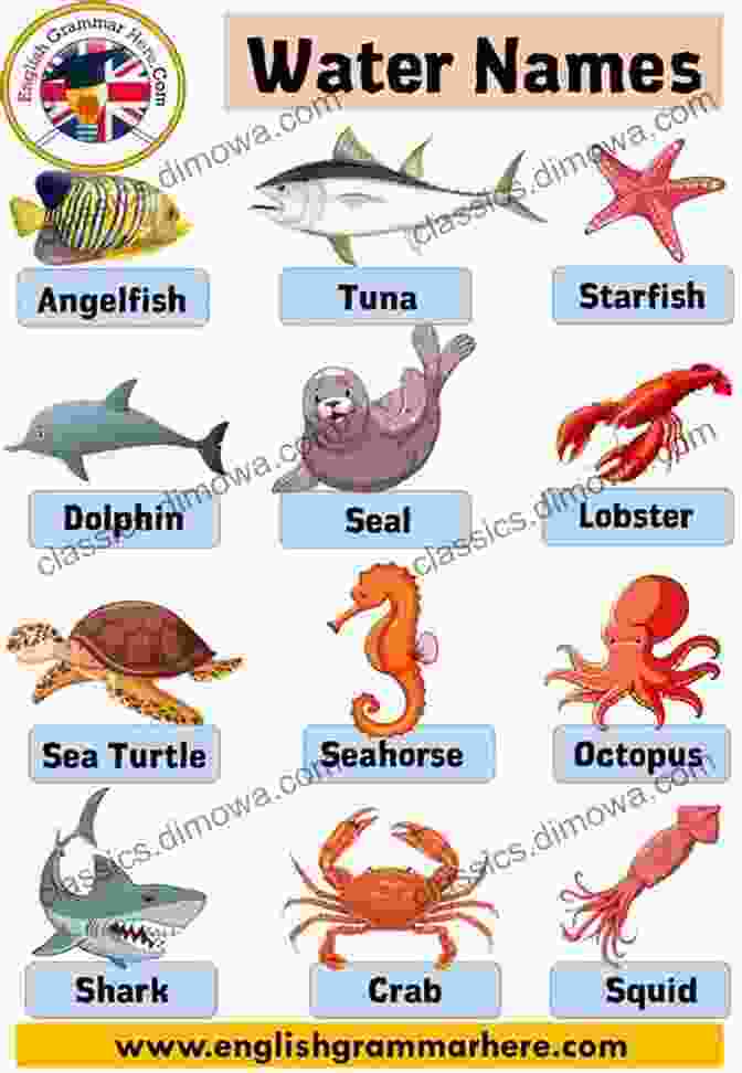 Amazing Animals That Live In The Water Baby Toddler Color Interactive Learning Activities Big Baby S Of Life In The Sea: Amazing Animals That Live In The Water Baby Toddler Color