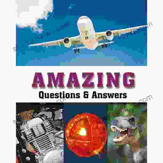 Amazing Questions And Answers To Test Yourself Book Cover Boston Celtics Team Ultimate Trivia: Amazing Questions And Answer To Test Yourself: Sport Questions And Answers