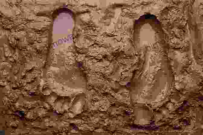 An Intriguing Close Up View Of Large, Humanoid Shaped Footprints Imprinted In Muddy Terrain, Hinting At The Possible Existence Of The Enigmatic Bigfoot Creature. Awakening: UFOs And Other Strange Happenings