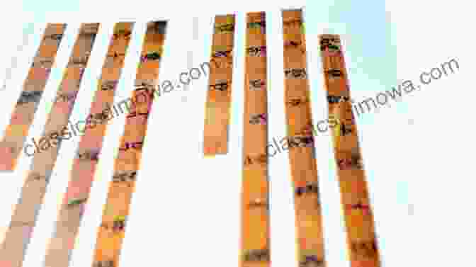 Bamboo Slips With Zhou Dynasty Writings Ancient China For Kids Early Dynasties Civilization And History Ancient History For Kids 6th Grade Social Studies