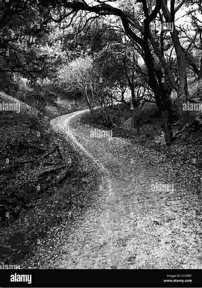 Black And White Photo Of A Native Trail Winding Through A Forest Woodstock Ontario 3 In Colour Photos: Saving Our History One Photo At A Time (Cruising Ontario 127)