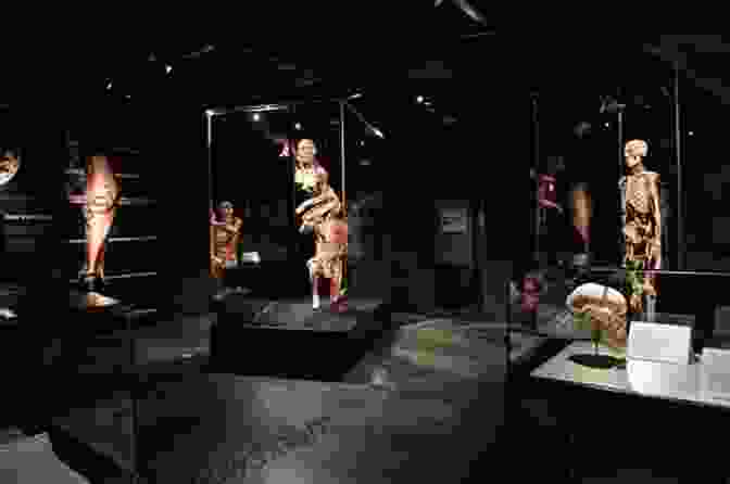 BODY WORLDS, Amsterdam Top 20 Things To See And Do In Amsterdam Top 20 Amsterdam Travel Guide (Europe Travel 42)