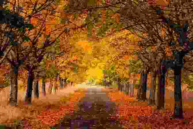 Charming Tree Lined Street Adorned With Colorful Autumn Leaves Stouffville Ontario 2 In Colour Photos: Saving Our History One Photo At A Time (Cruising Ontario 222)