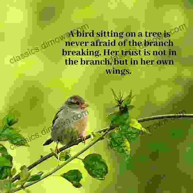 Elsie Bird Sitting On A Tree Branch With A Talking Cat. Elsie S Bird Jane Yolen