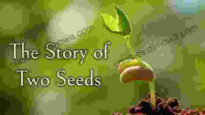 Food Choices The Story Of Seeds: From Mendel S Garden To Your Plate And How There S More Of Less To Eat Around The World