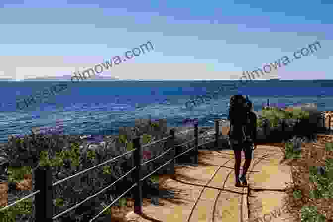 Hikers Exploring A Coastal Trail Surrounded By Maritime Forests And Ocean Views The Beach Lover S Guide To The Outer Banks Vol 1: Kitty Hawk Kill Devil Hills And Nags Head: The Beach Road And Beyond