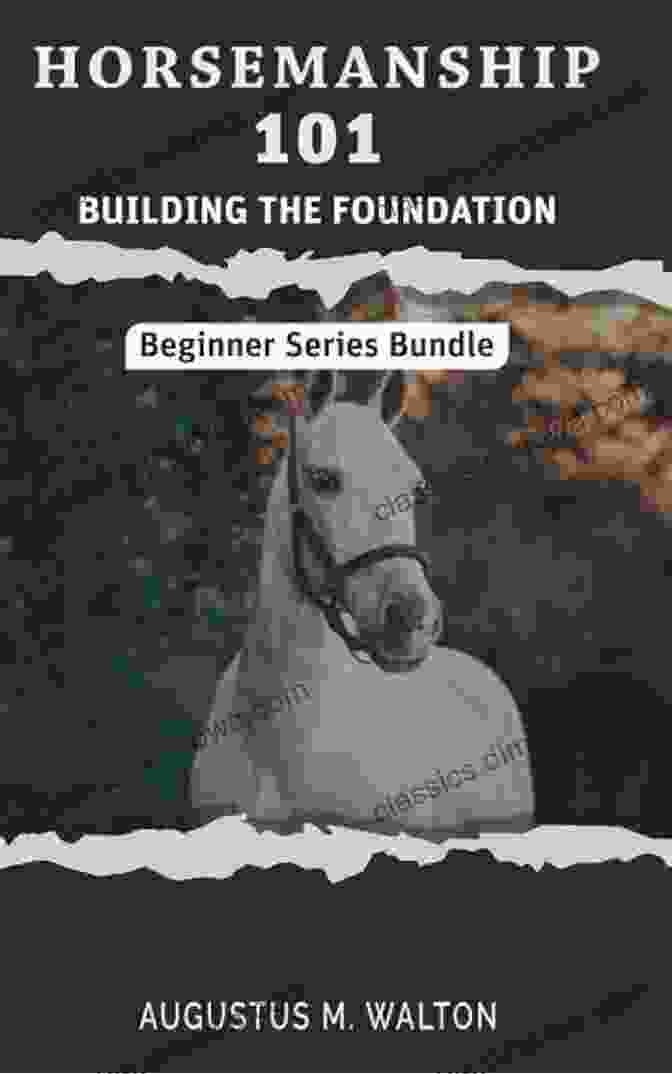 Horsemanship 101 Round Pen Foundational Work Book Cover Horsemanship 101: Round Pen: Foundational Work (Beginner Horsemanship Series)