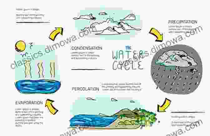 Infographic Of The Water Cycle AWARE Our World Our Water