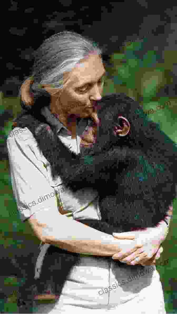 Jane Goodall Shares Her Passion For Wildlife Conservation With A Group Of Children. Jane Goodall S Animal World Gorillas