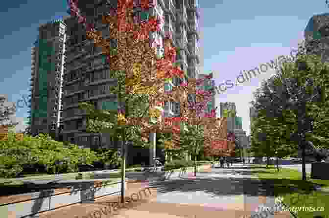 Lush Stanley Park, Vancouver's Urban Oasis With Towering Trees And Ocean Views Vancouver British Columbia Canada 5 In Colour Photos: Saving Our History One Photo At A Time (Cruising Canada 22)