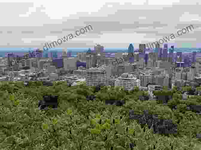 Mount Royal Lookout Montreal Quebec GUIDELINES (2024) Travel Canada GUIDELINES