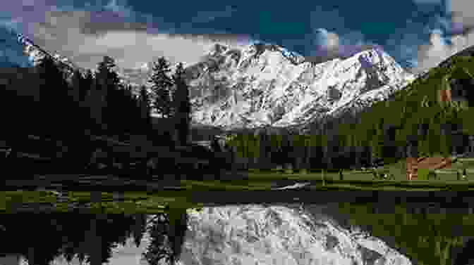 Nighttime Forest In Pakistan In The Forests Of The Night: Journeys Into The Heart Of Pakistan (In The Forest Of The Night 1)