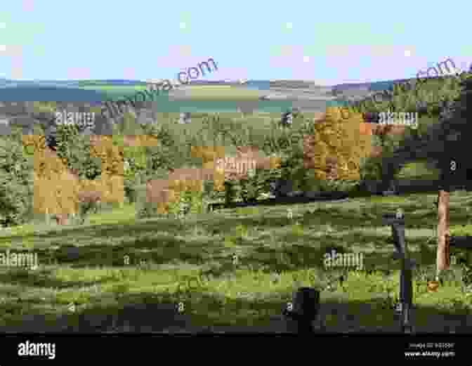 Panoramic View Of The Ardennes, Showcasing Its Rolling Hills, Dense Forests, And Tranquil Rivers Walking In The Ardennes: Belgium Luxembourg And The Ardennes (Cicerone Guides)