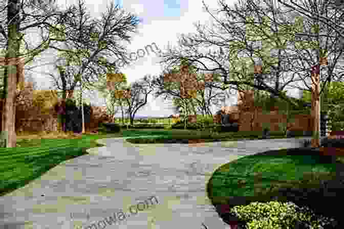 Photograph Of Manicured Lawn And Towering Trees In Reinhardt Garden Reinhardt S Garden Mark Haber