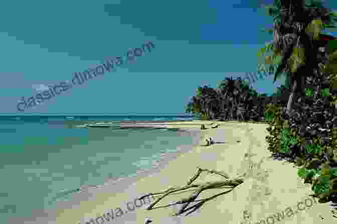 Pristine Beach In The Dominican Republic Dominican Republic Adventure Guide (Adventure Guides)