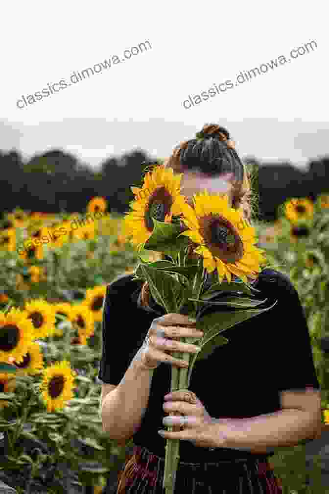 Rosebud, A Young Woman, Standing Amidst A Vast Field Of Sunflowers Rosebud And Red Flannel Ethel Pochocki