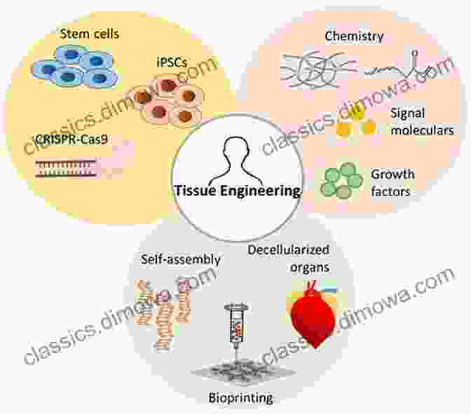 Schematic Illustration Of Nanoengineered Biomaterials For Tissue Engineering Nanoengineered Biomaterials For Regenerative Medicine (Micro And Nano Technologies)