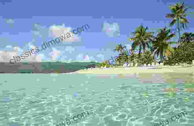 Secluded Beach In The Dominican Republic Dominican Republic Adventure Guide (Adventure Guides)