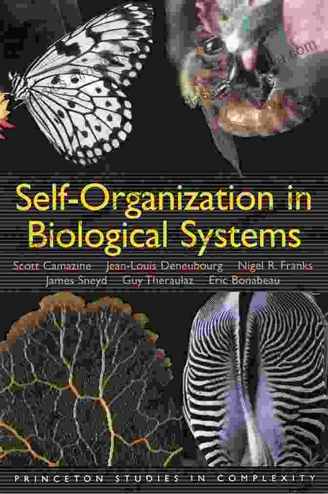 Self Organization In Nature And The Mind Digital Physics: The Physics Of Information Computation Self Organization And Consciousness Q A