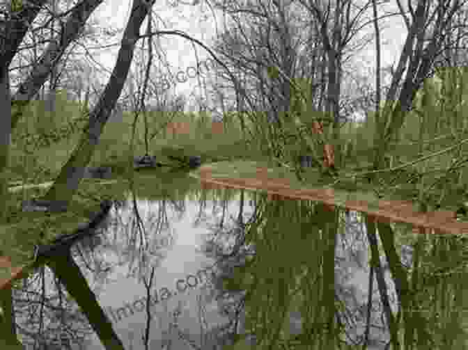 Serene Sydenham River In Strathroy Strathroy Ontario In Colour Photos: Saving Our History One Photo At A Time (Cruising Ontario 236)