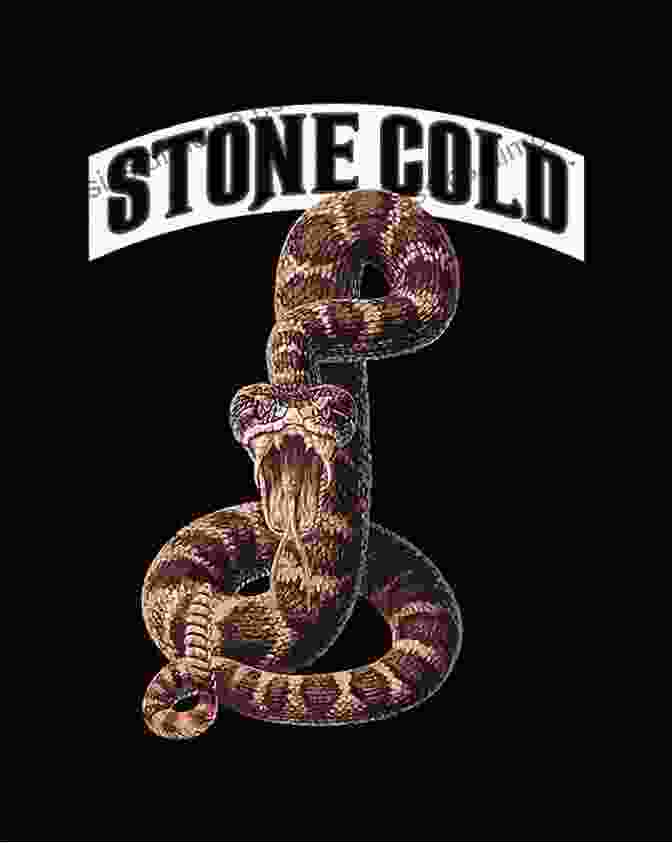 Stone Cold Steve Austin, The 'Rattlesnake,' Became The Symbol Of The WWF's Attitude Era. Place To Be Nation Vintage Vault Refresh: Volume 3 The New Generation Era Part 1: 1993 1996 (Place To Be Nation: Vintage Vault Refresh)