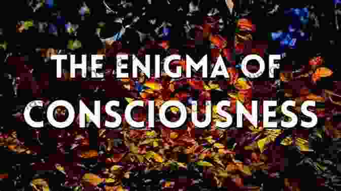 The Enigma Of Consciousness Digital Physics: The Physics Of Information Computation Self Organization And Consciousness Q A