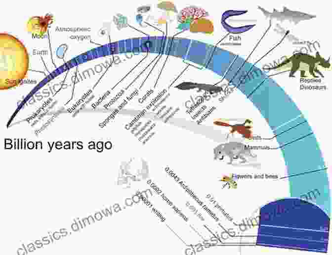 The Evolution Of Life On Earth Tango Argentina Myths: Information About The Origins And Development: Understanfing Of Tango Argentina