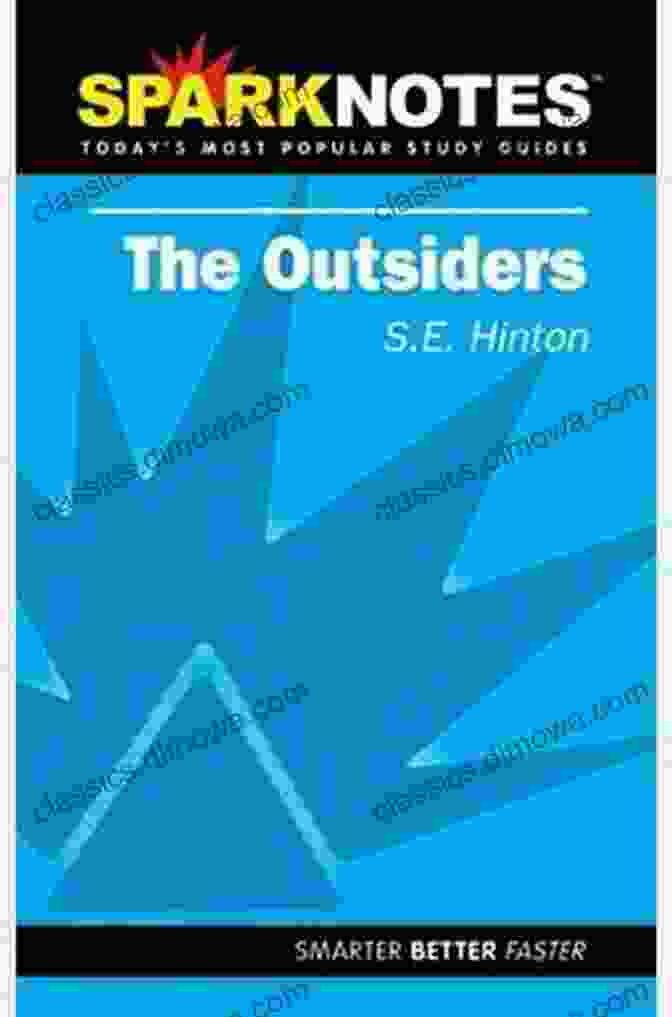 The Outsiders SparkNotes Literature Guide The Outsiders (SparkNotes Literature Guide) (SparkNotes Literature Guide Series)