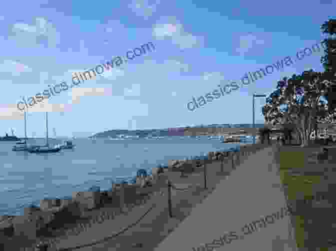 The Tranquil Waters Of San Diego Bay From Shelter Island Park, With Sailboats Dotting The Horizon And Torrey Pines Trees Standing Sentinel Once Around San Diego Bay